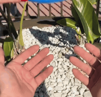 imgpsh_fullsize_anim_58.gif